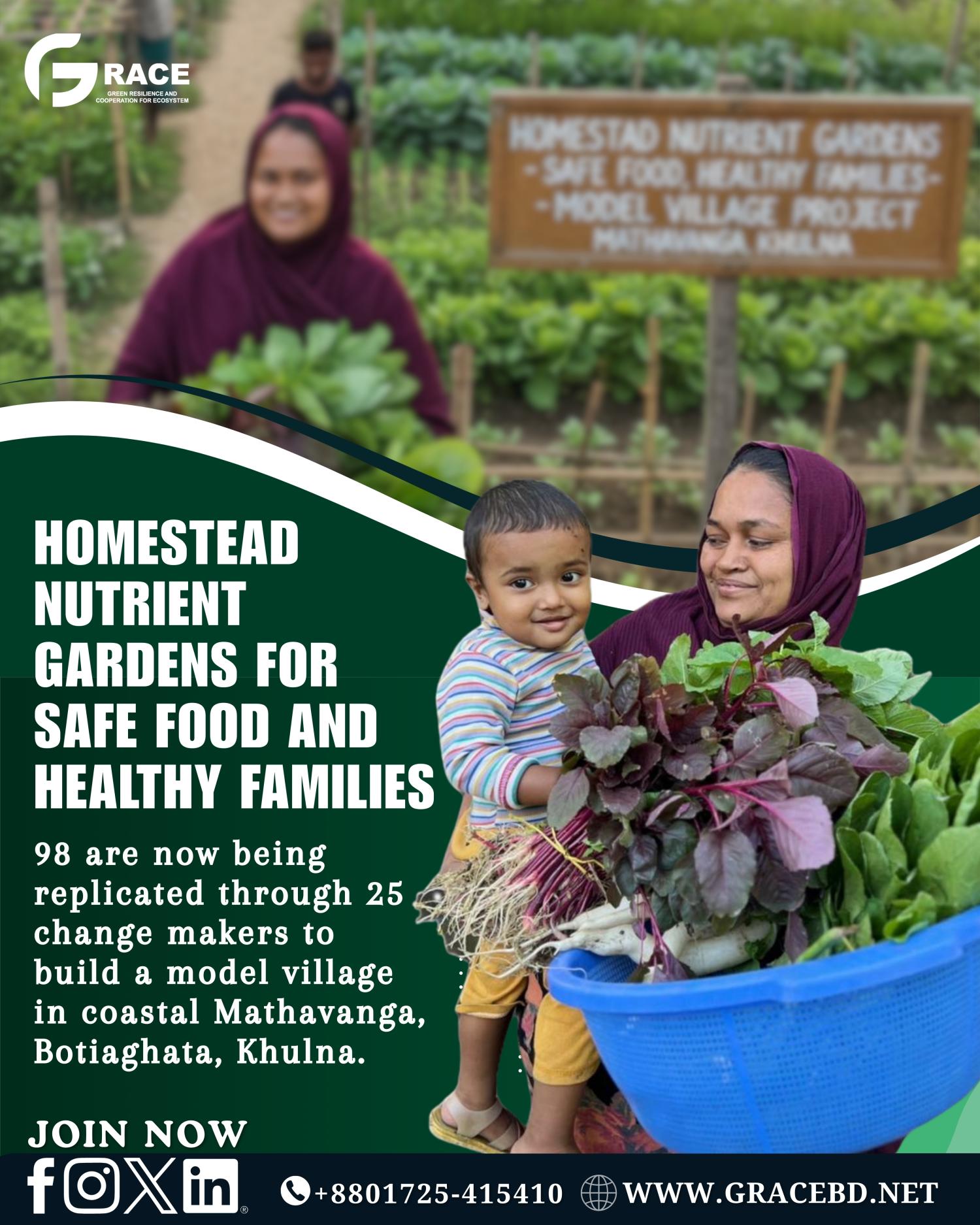 Kitchen Garden Ensured Safe Food